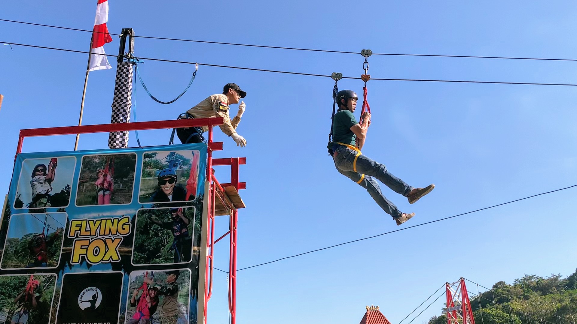 flying fox flying fox