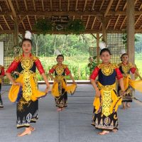 tari